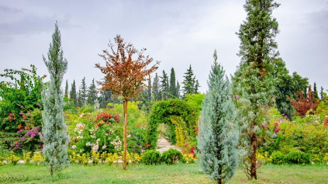 Botanik Park’ta görsel şölen