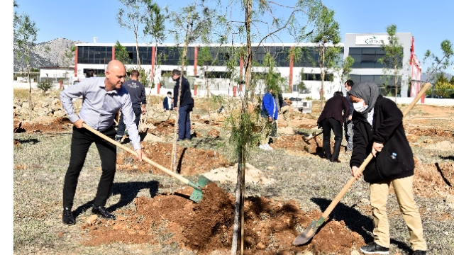 OSB’de öğrenciler 500 fidan dikti