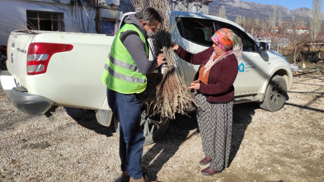 Büyükşehir ilçelerde fidan dağıtıyor