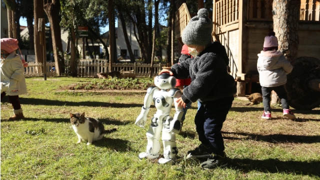 Kedi besleyen robot