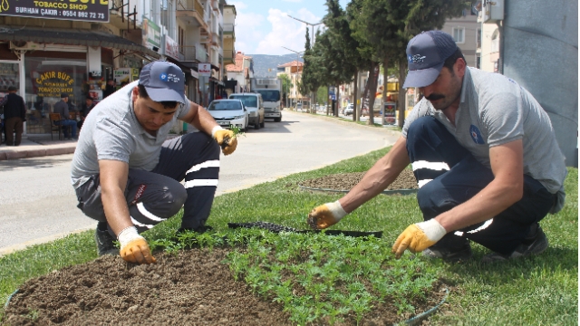 Korkuteli çiçeklerle renklendi