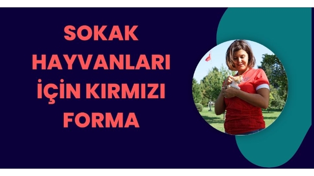 Minik dostlara özel forma