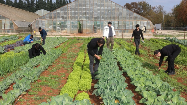 Ziraat Fakültesi zirveyi kaptı