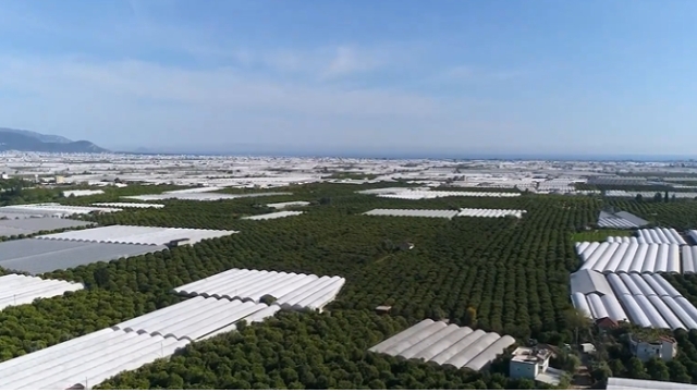 Mimarlar Odası’ndan Akaryakıt istasyonu tepkisi