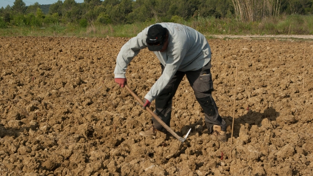 Mayıs ayının kaybedeni üretici