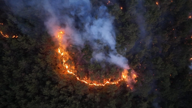 ‘Mücadeleyi aralıksız sürdürüyoruz’