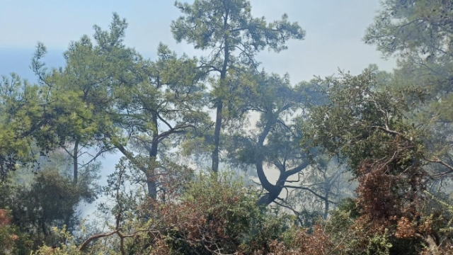 Kemer’de korkutan yangın