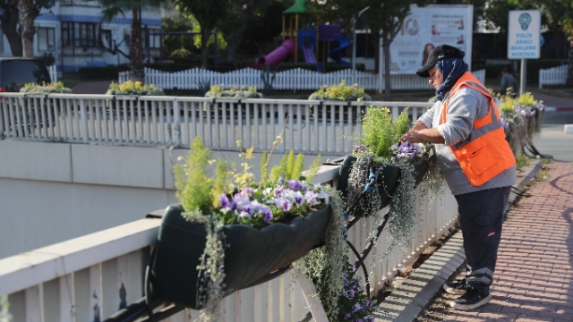 Antalya’da 4 milyon çiçek toprakla buluşuyor