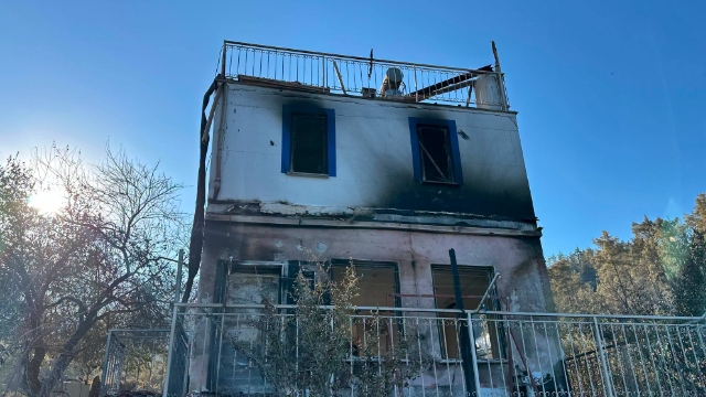 Yeni Partili Arı’dan destek çağrısı