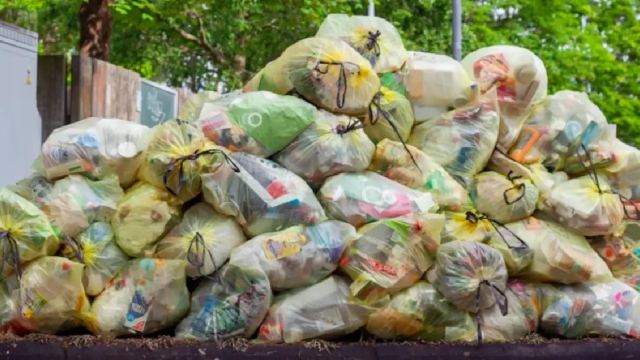 Türkiye’de kişi başına 102 kilogram gıda çöpe atılıyor