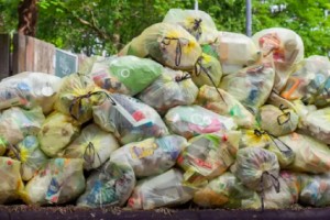 Türkiye’de kişi başına 102 kilogram gıda çöpe atılıyor